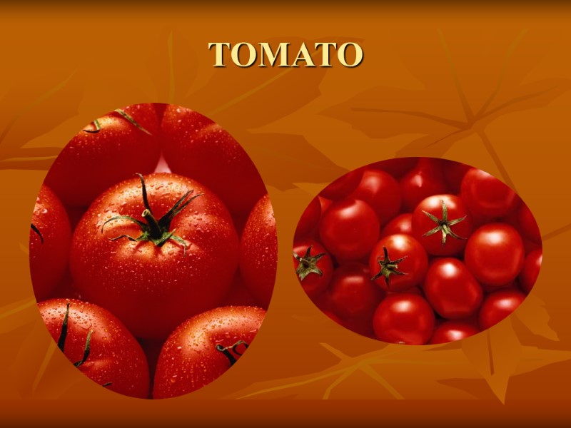 TOMATO